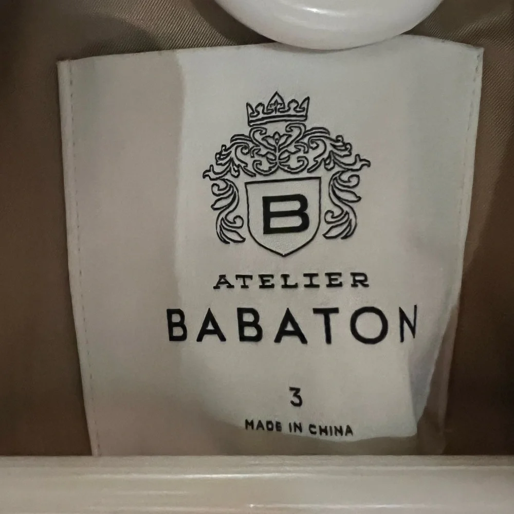 Aritzia Babaton Slouch Coat - Picture 3 of 5